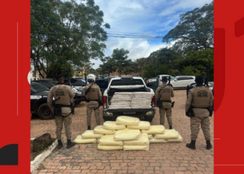 Material explosivo é apreendido em caminhonete na Bahia; suspeito transportava meia tonelada de nitrato de amônio