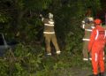 Queda de árvore interdita trecho de pista ao lado do Dique do Tororó e deixa feridos em Salvador