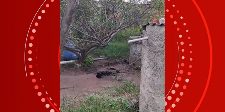 Homem é preso após invadir casa, matar cachorro e furtar pertences na Bahia