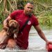 Pitbulls ilhados em lagoa por cerca de 24 horas são resgatados por bombeiros no extremo sul da Bahia